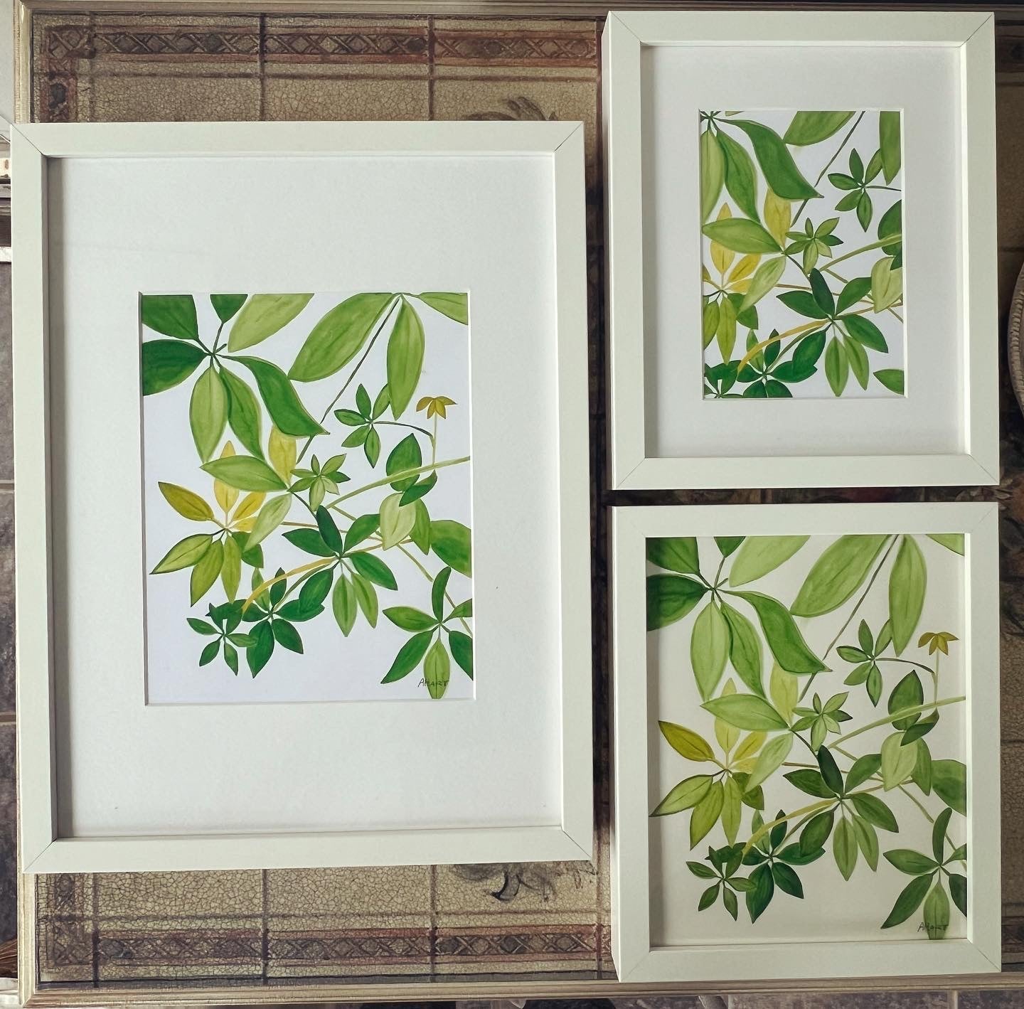 Scheflerra “Umbrella” plant, watercolor print on paper. Size 8 by 10 inches.