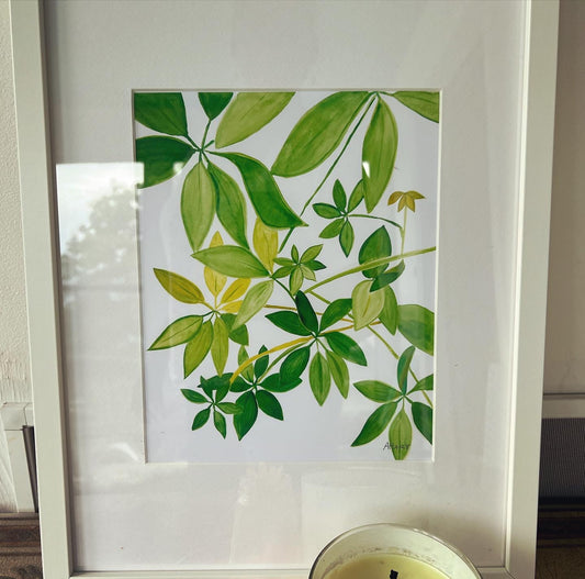 Scheflerra “Umbrella” plant, watercolor print on paper. Size 8 by 10 inches.